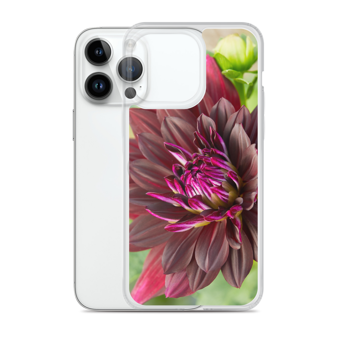 Black Dahlia iPhone Case