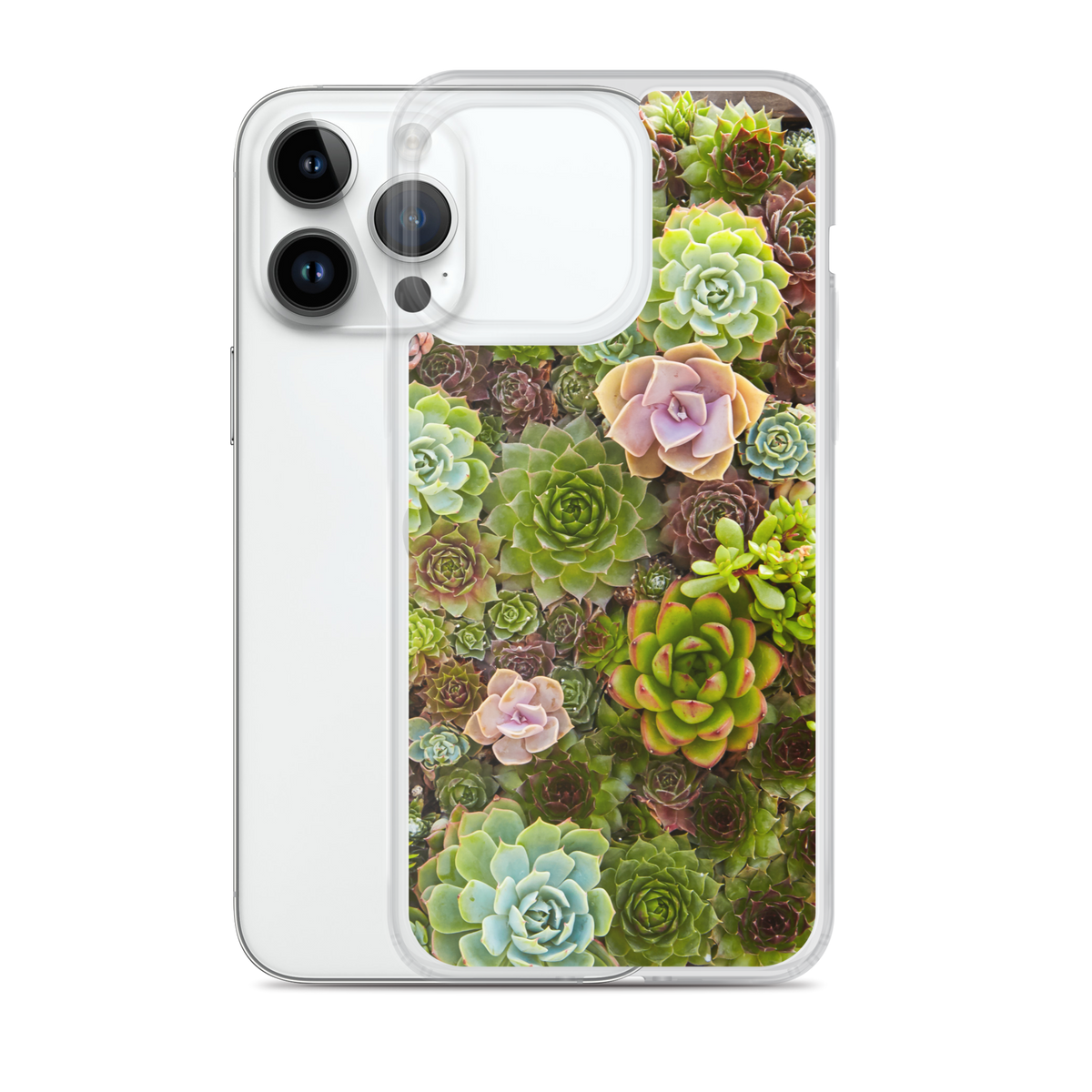Succulent iPhone Case
