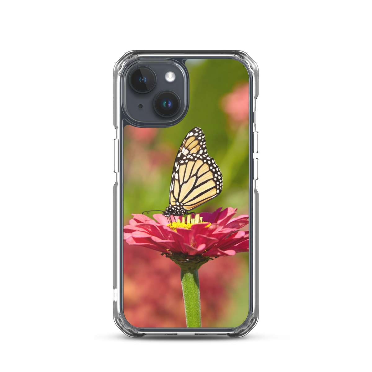 Monarch on Pink Zinnia Case for iPhone