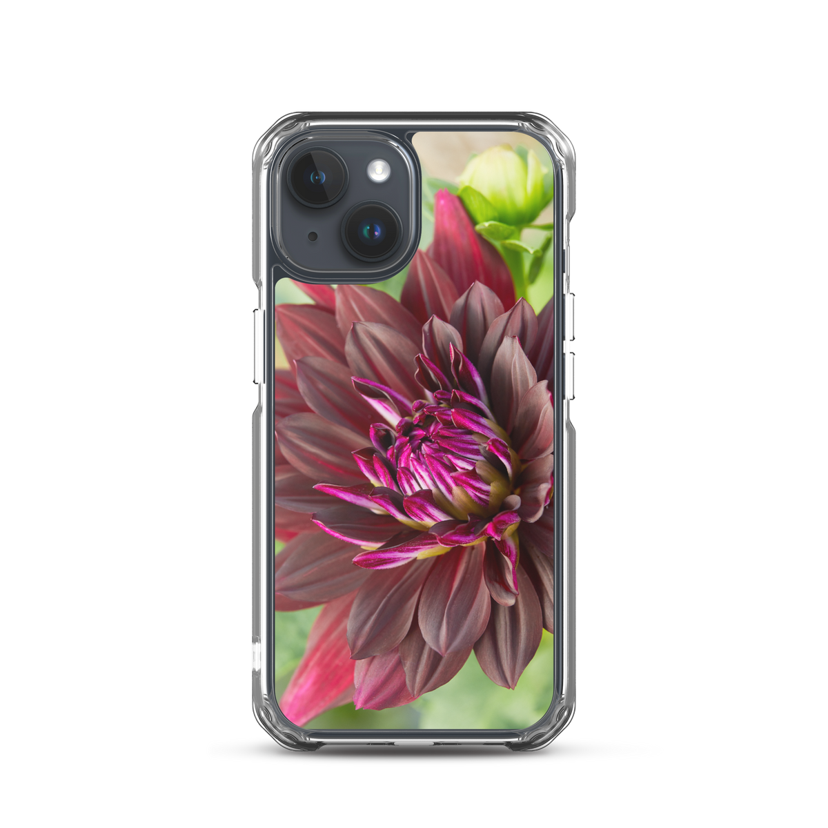 Black Dahlia iPhone Case
