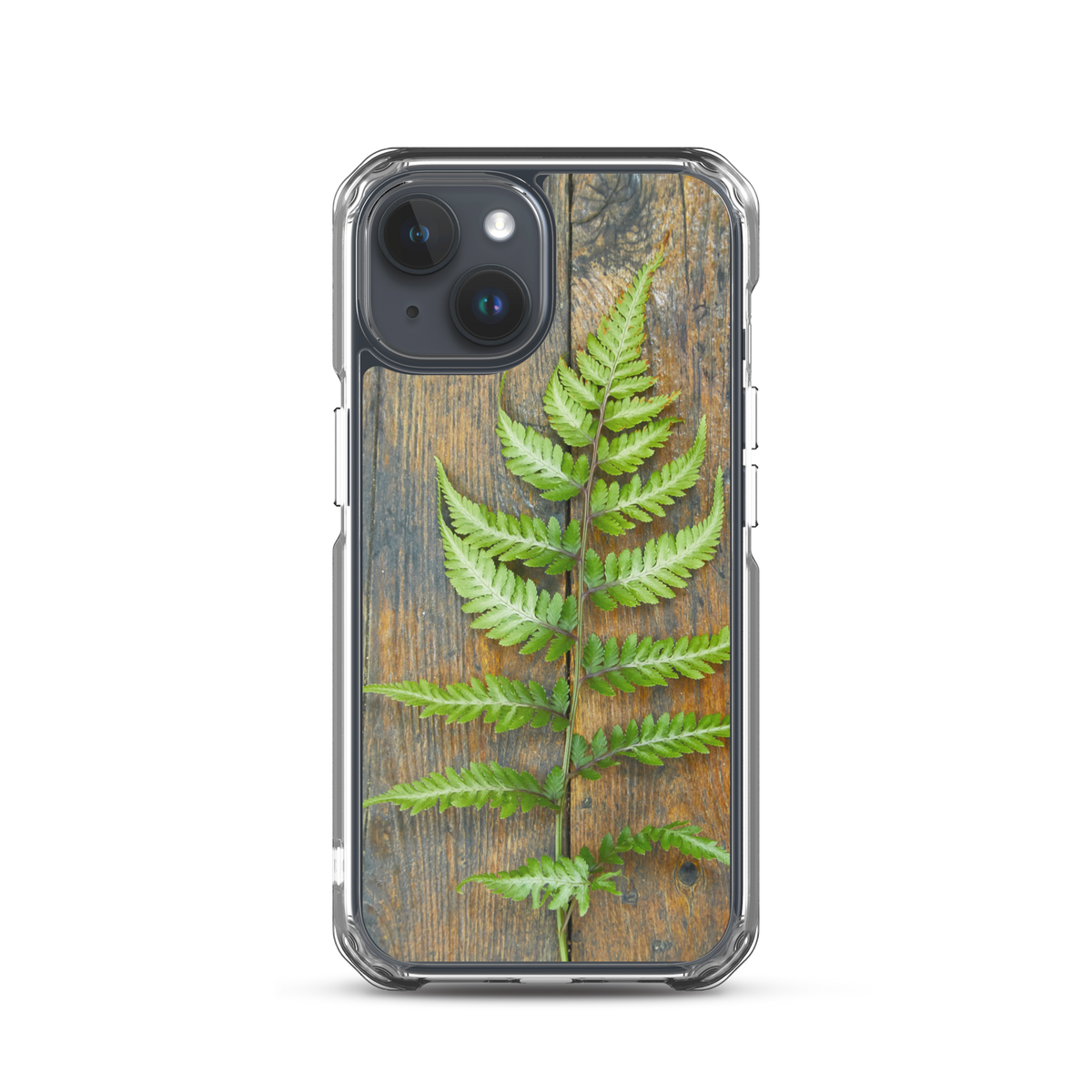 Fern iPhone Case
