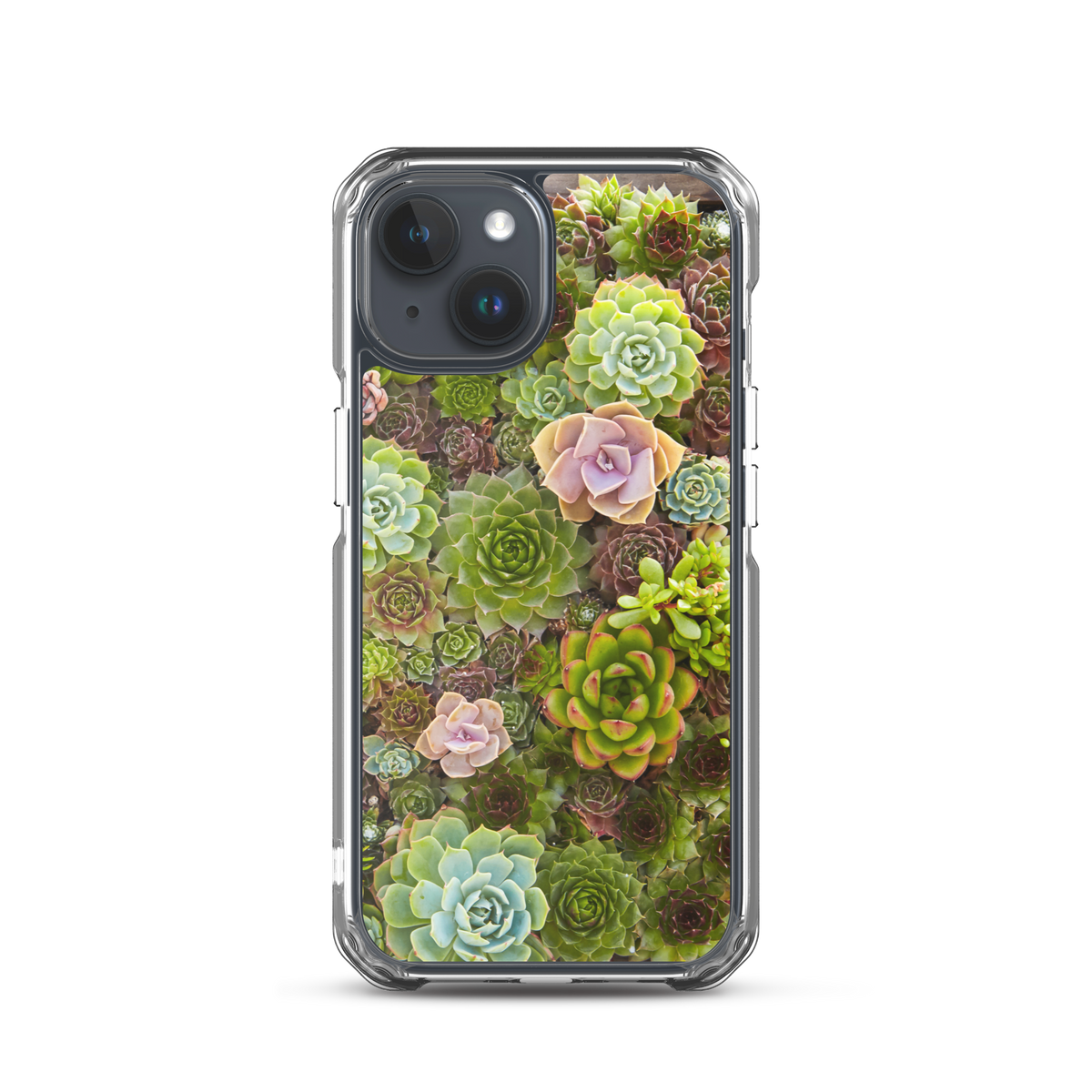 Succulent iPhone Case