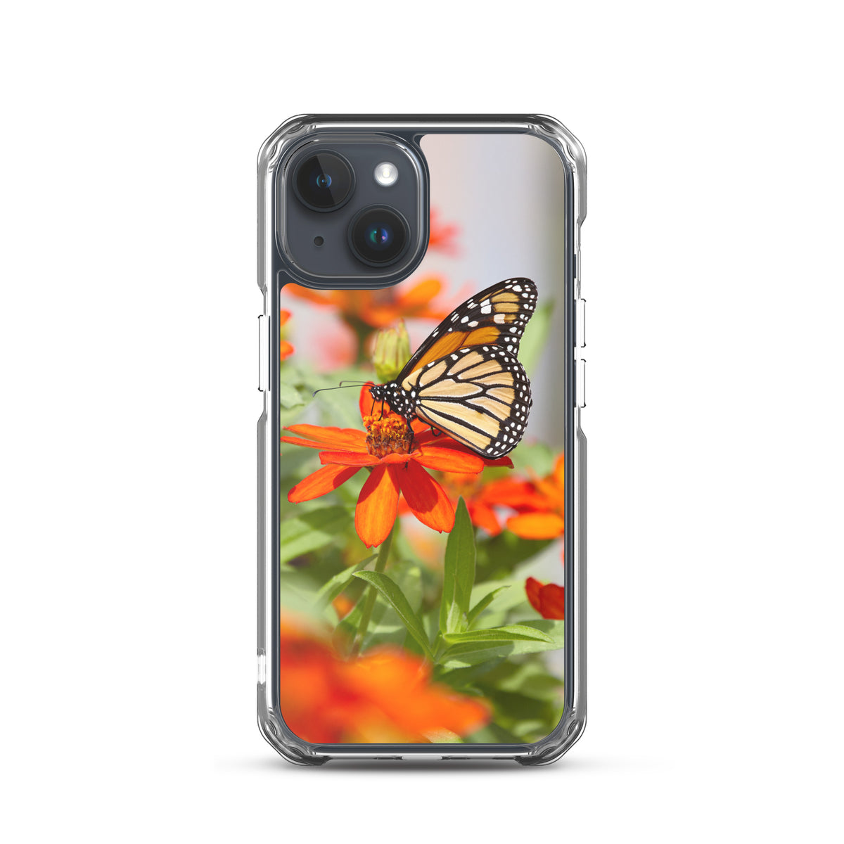 Monarch on Zinnia iPhone Case