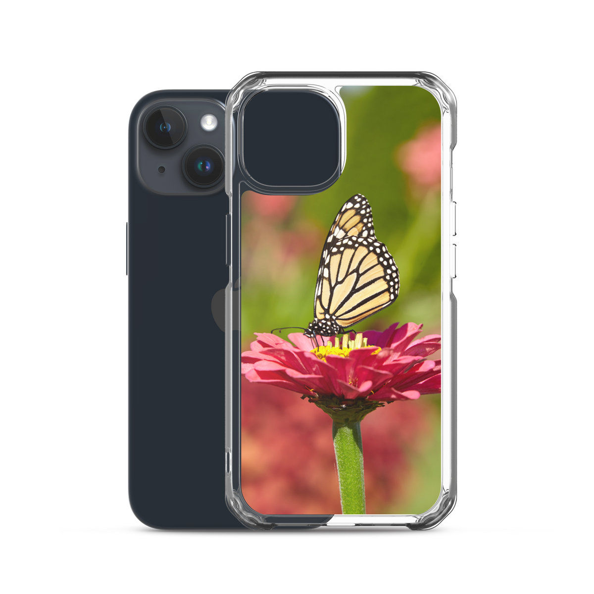 Monarch on Pink Zinnia Case for iPhone