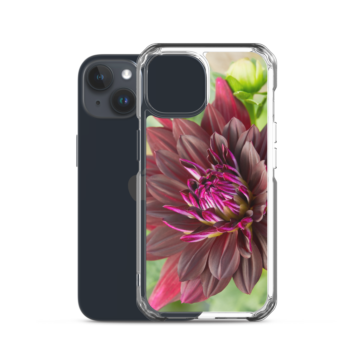 Black Dahlia iPhone Case