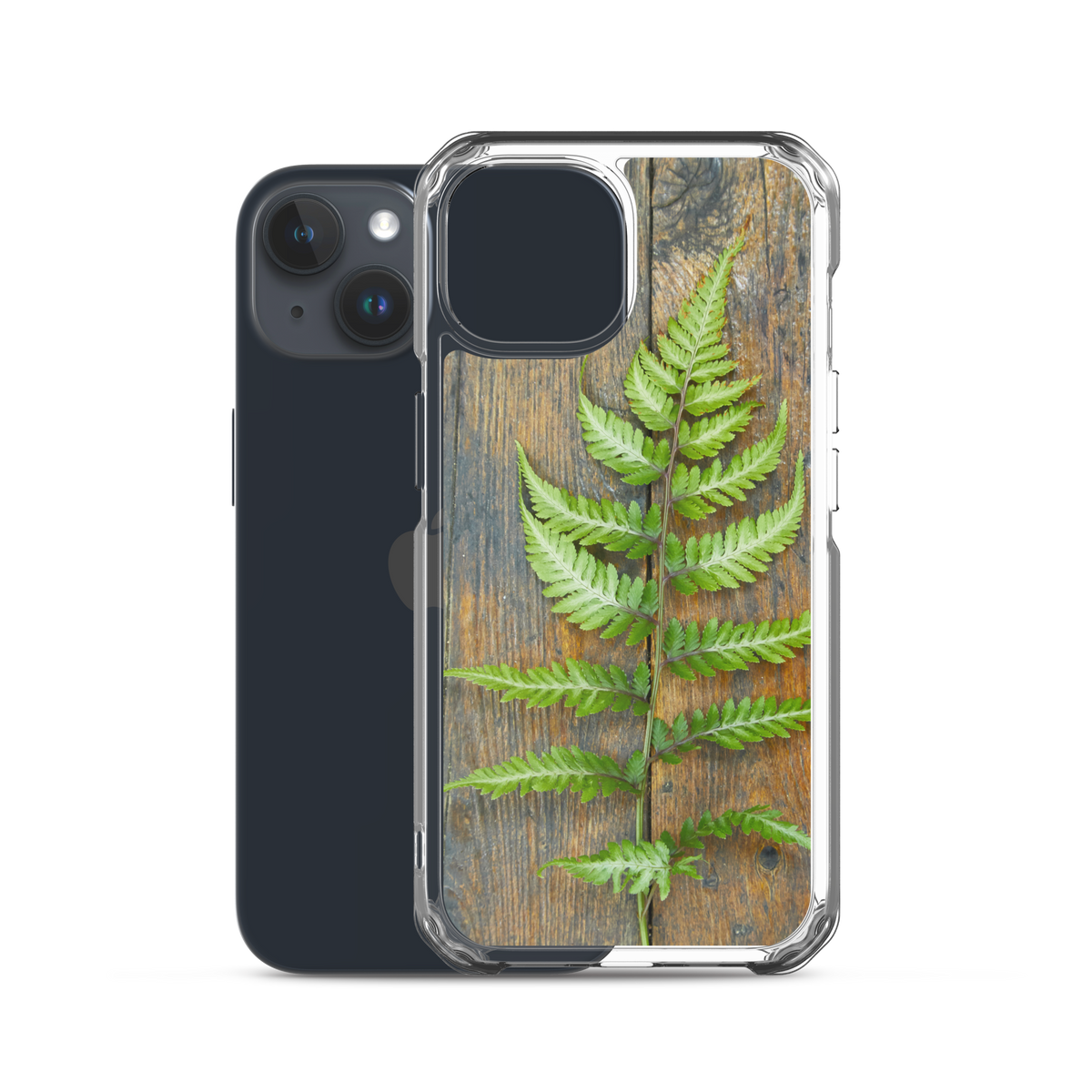Fern iPhone Case