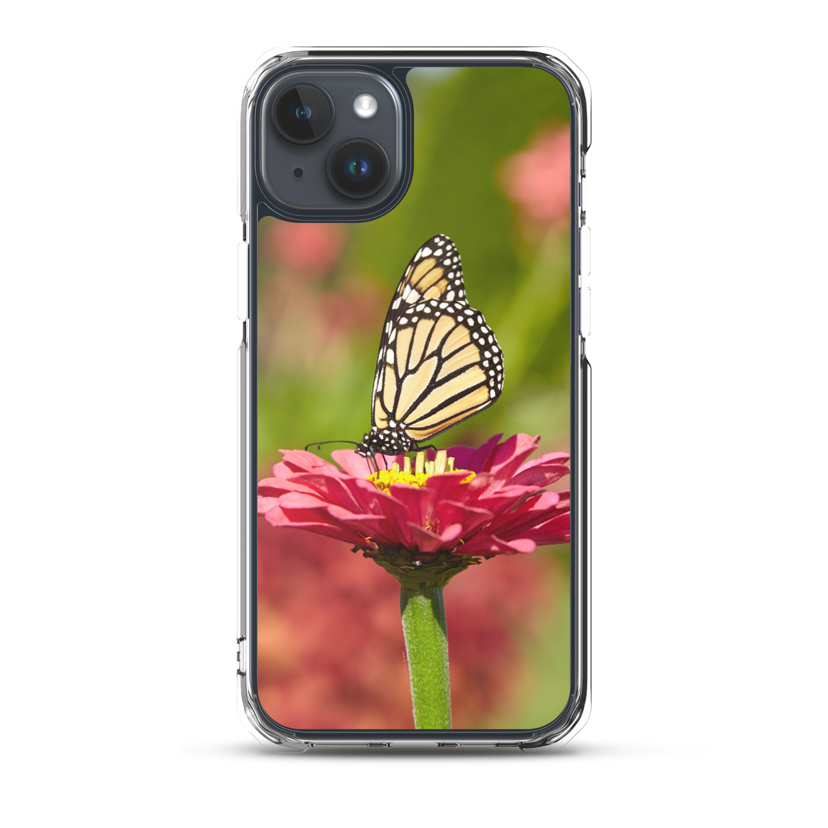 Monarch on Pink Zinnia Case for iPhone