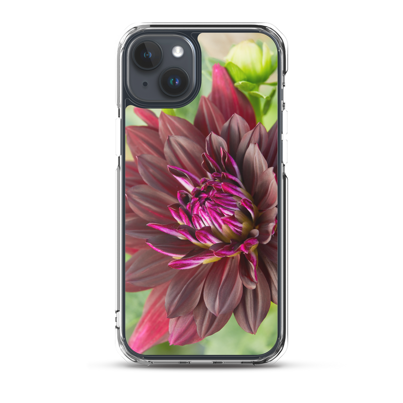Black Dahlia iPhone Case
