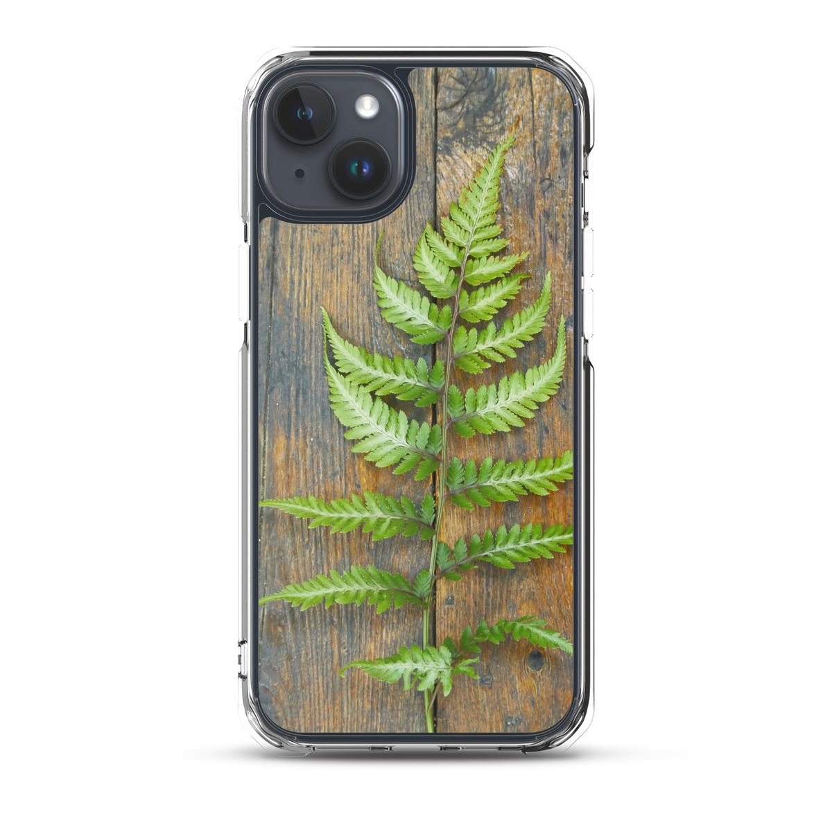 Fern iPhone Case