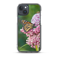 Monarch on Milkweed Phone Case for iPhone