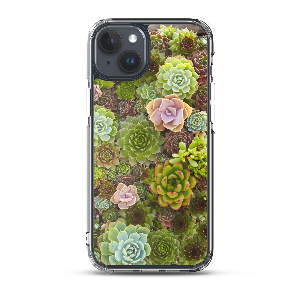 Succulent iPhone Case