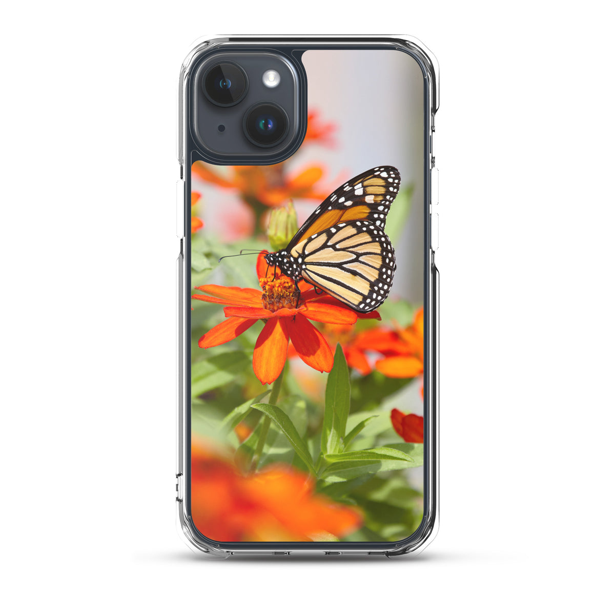 Monarch on Zinnia iPhone Case