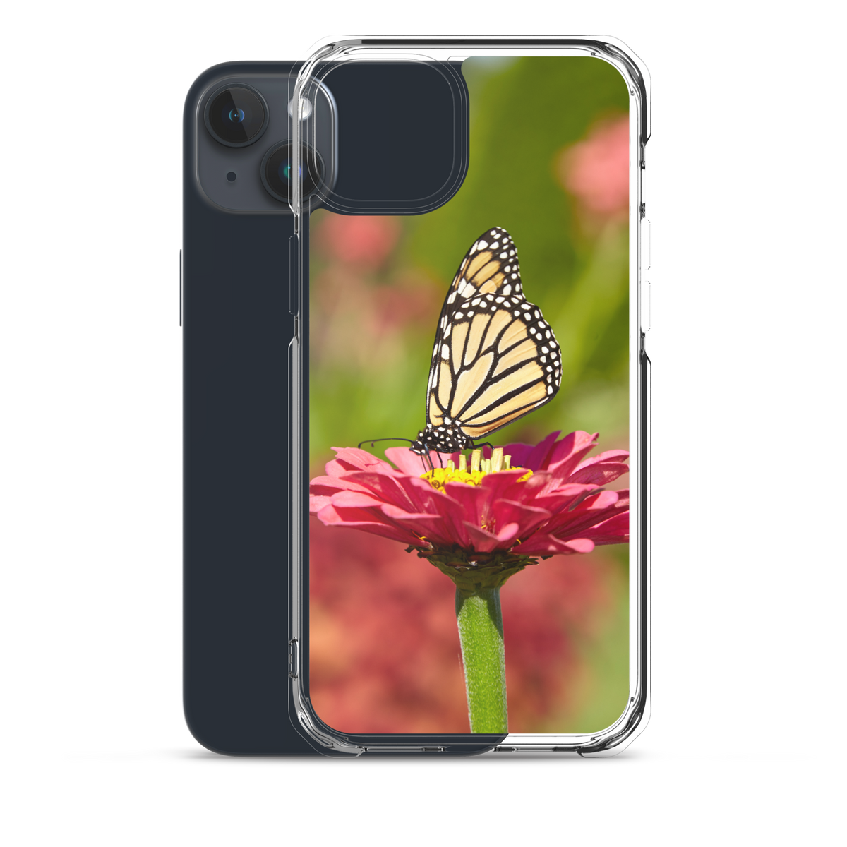 Monarch on Pink Zinnia Case for iPhone