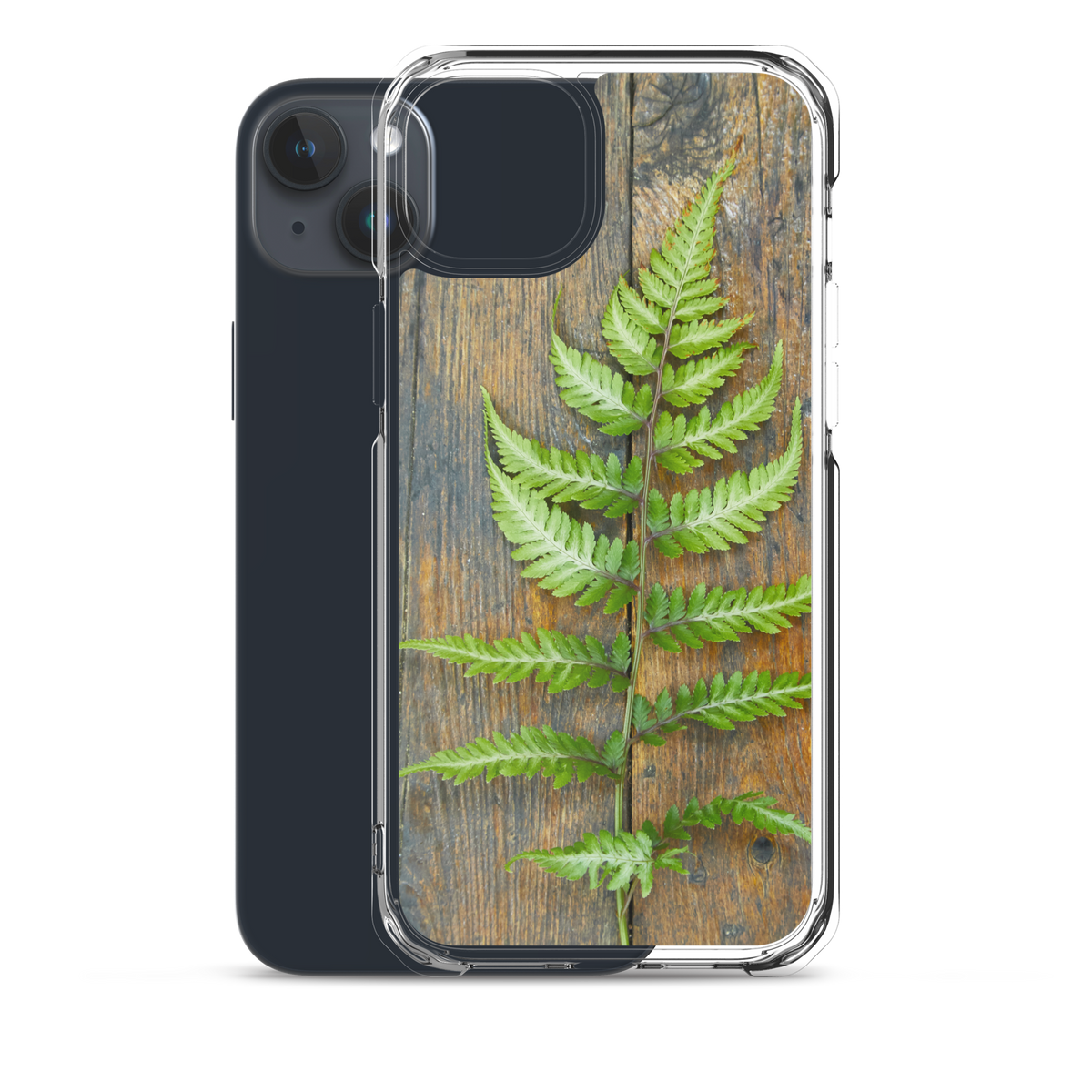 Fern iPhone Case