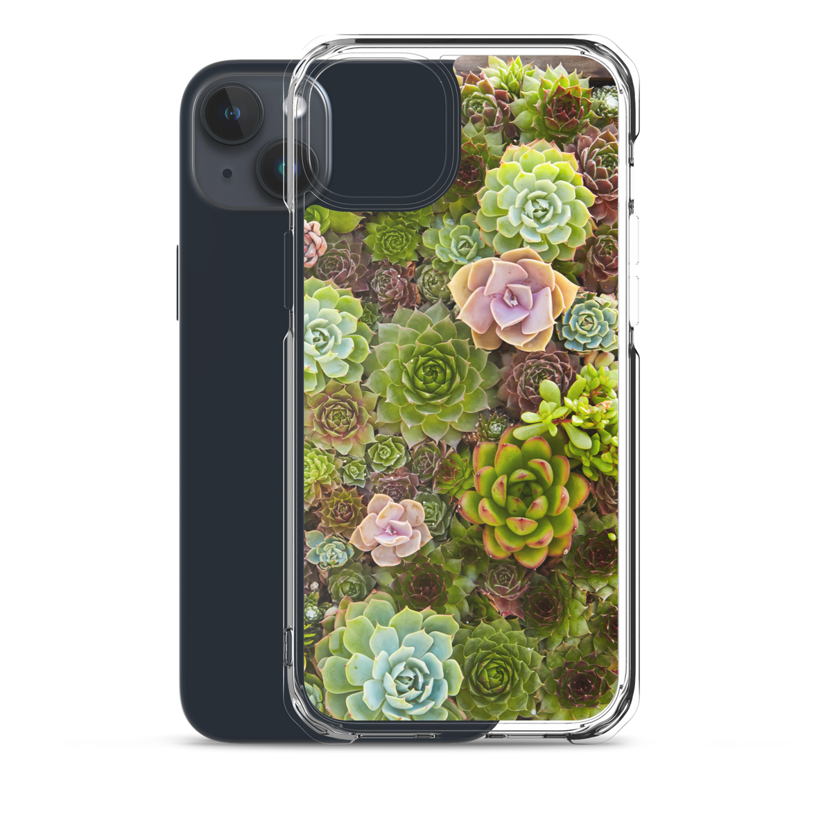 Succulent iPhone Case