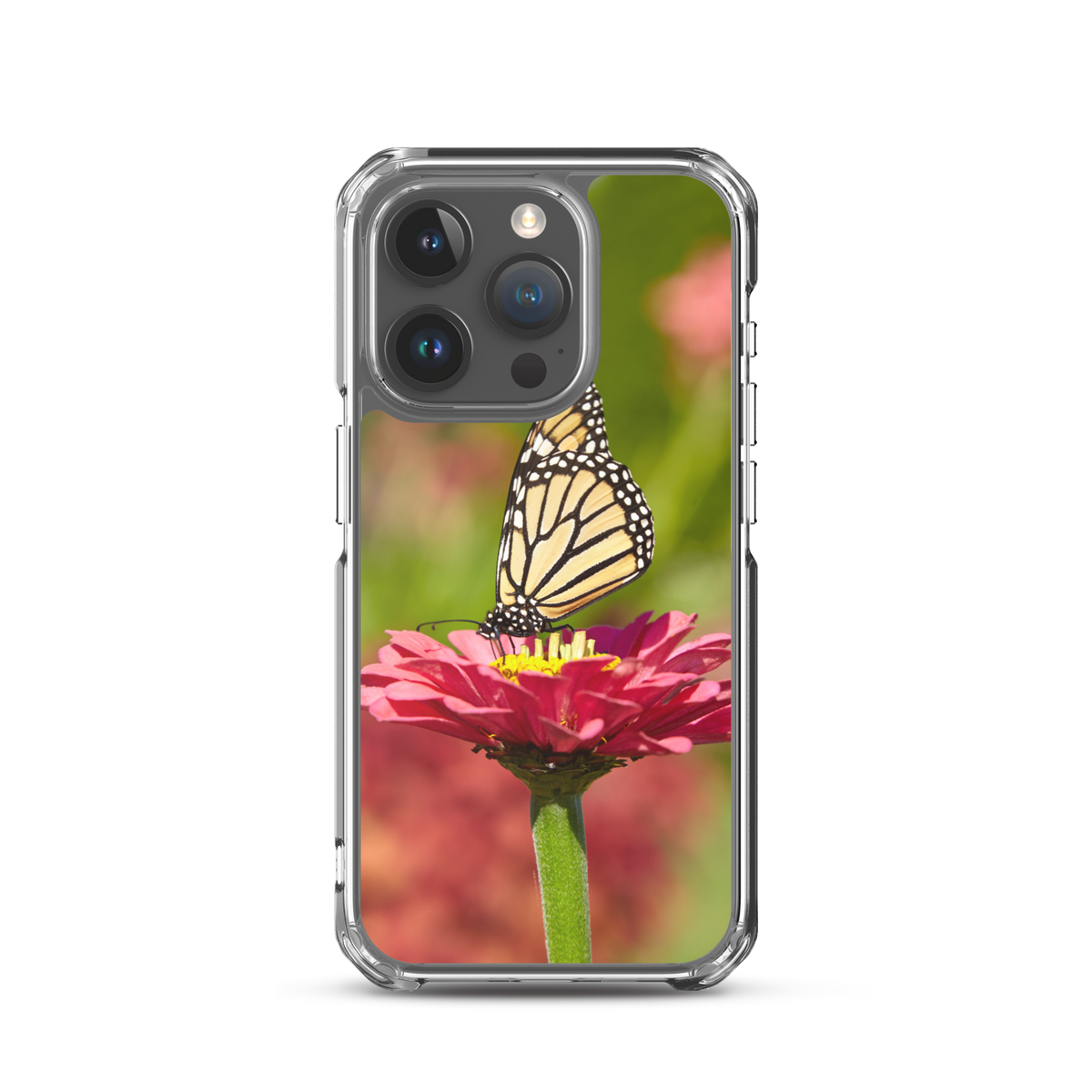Monarch on Pink Zinnia Case for iPhone