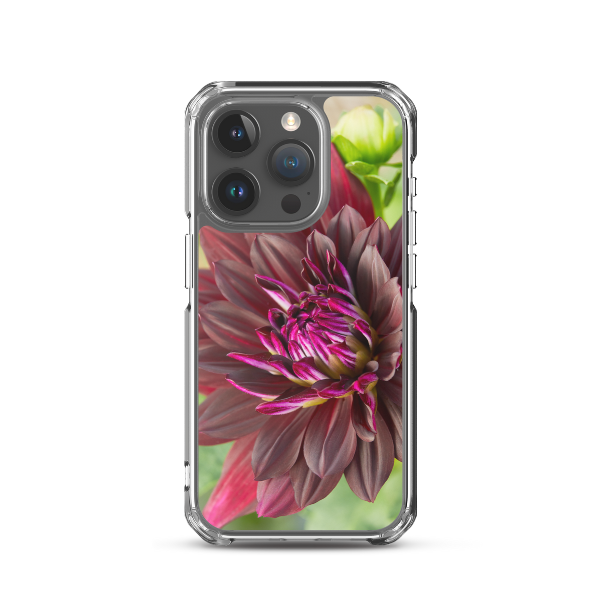Black Dahlia iPhone Case