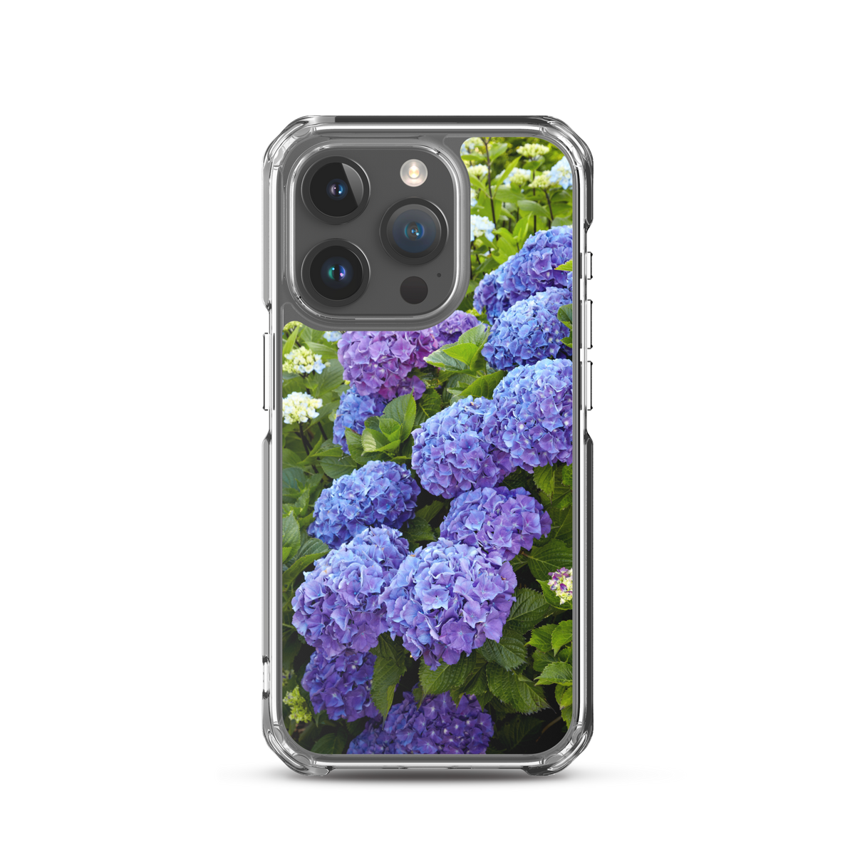 Blue Hydrangea iPhone Case