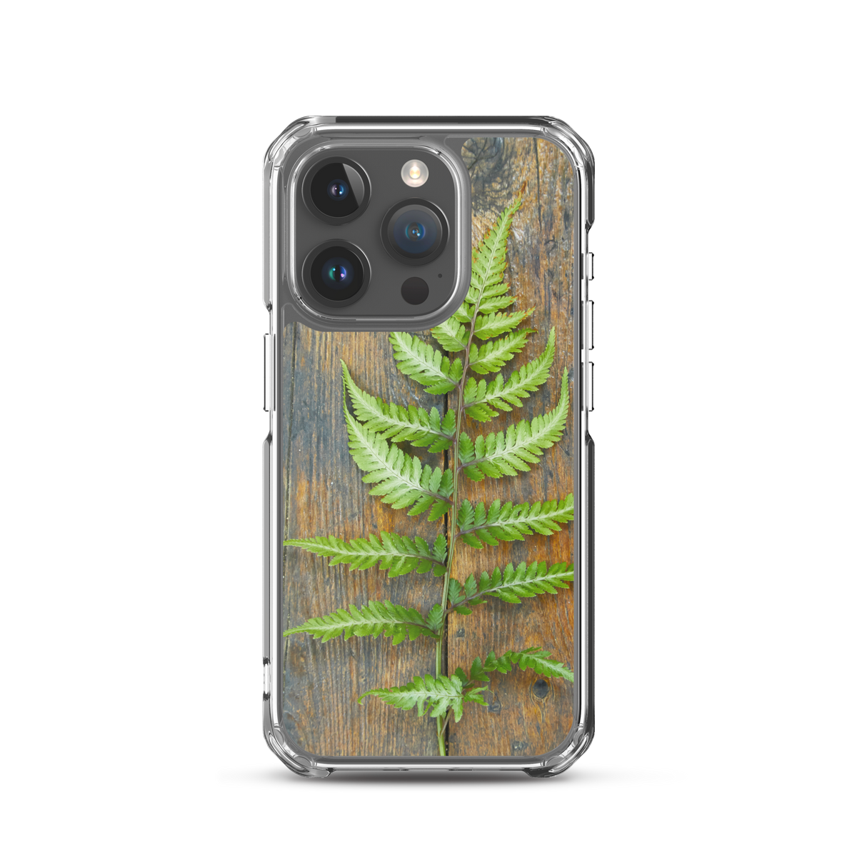 Fern iPhone Case