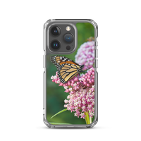 Monarch on Milkweed Phone Case for iPhone