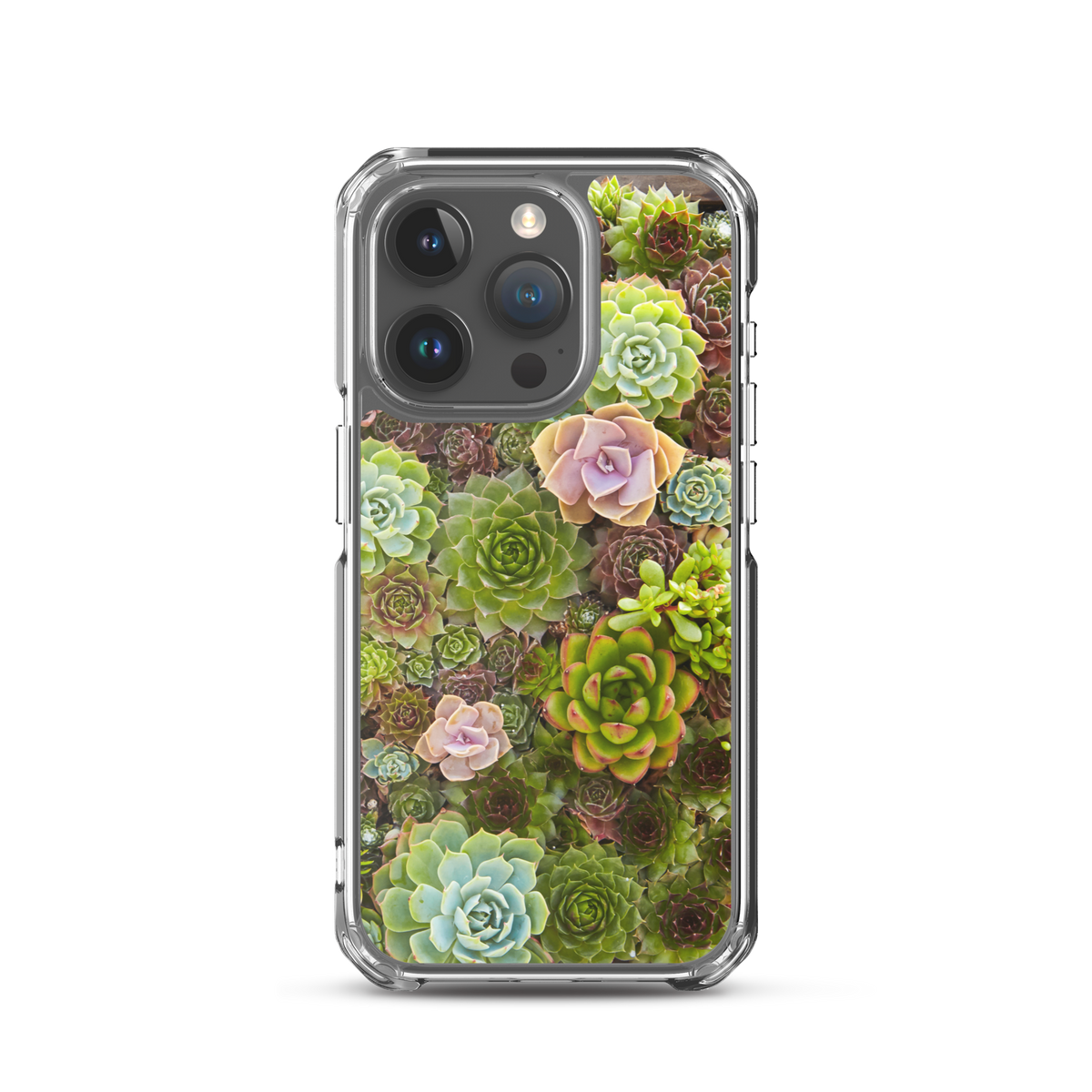 Succulent iPhone Case