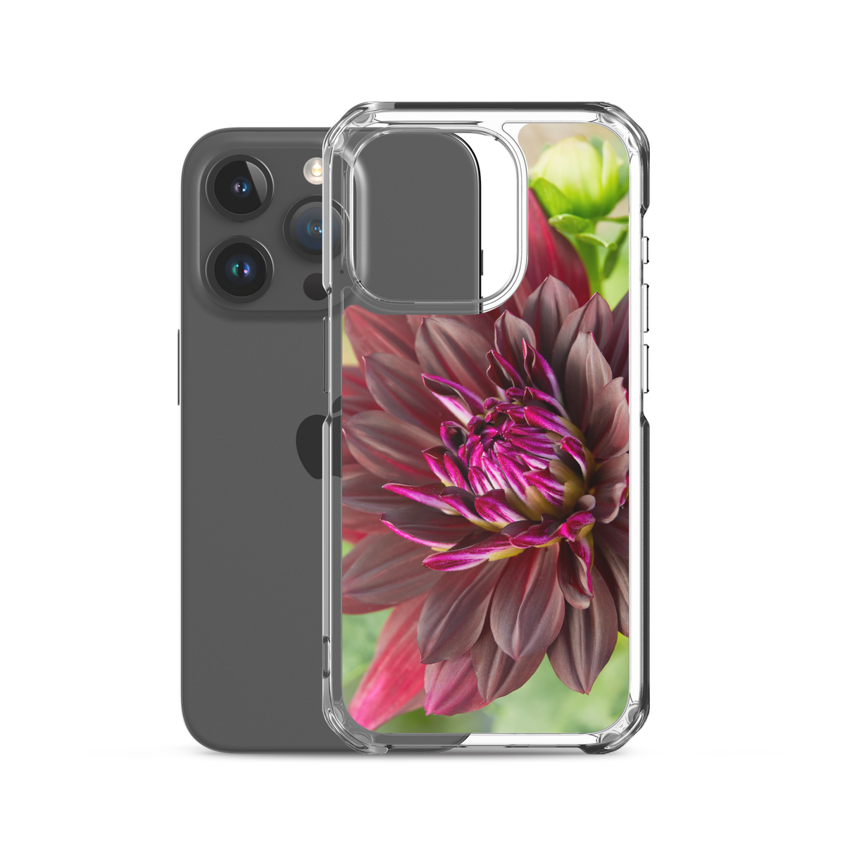 Black Dahlia iPhone Case