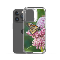 Monarch on Milkweed Phone Case for iPhone