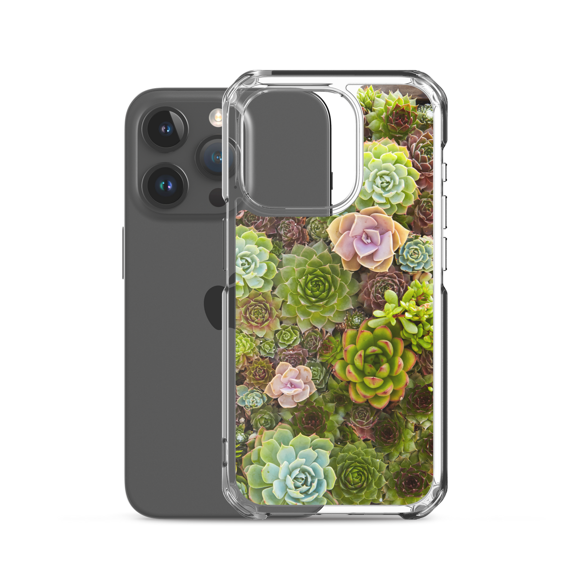Succulent iPhone Case