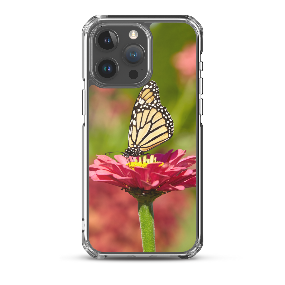 Monarch on Pink Zinnia Case for iPhone