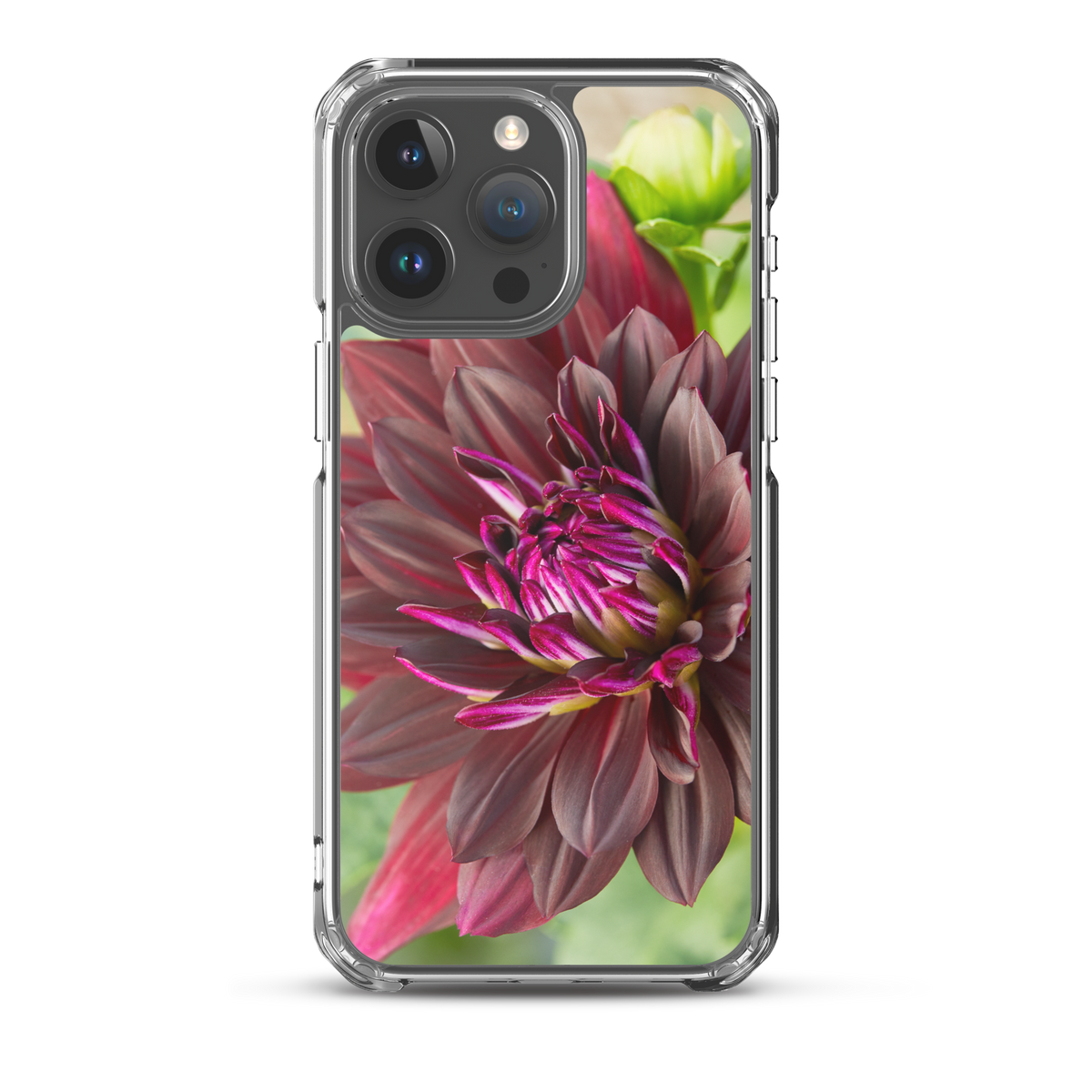 Black Dahlia iPhone Case