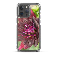 Black Dahlia iPhone Case