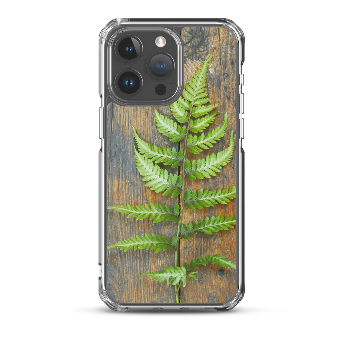 Fern iPhone Case