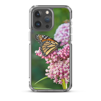 Monarch on Milkweed Phone Case for iPhone