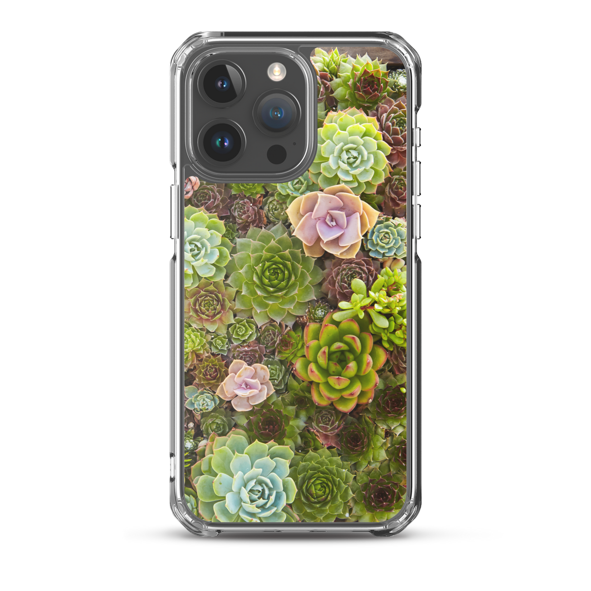 succulent case Succulent iPhone Case – Garden Gate