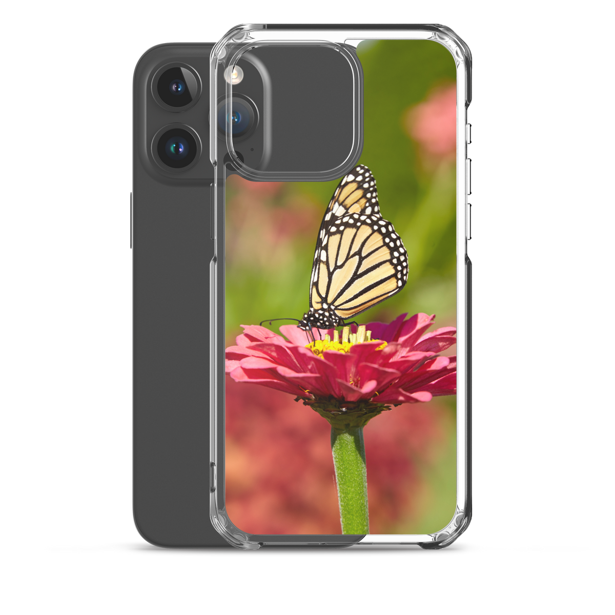 Monarch on Pink Zinnia Case for iPhone