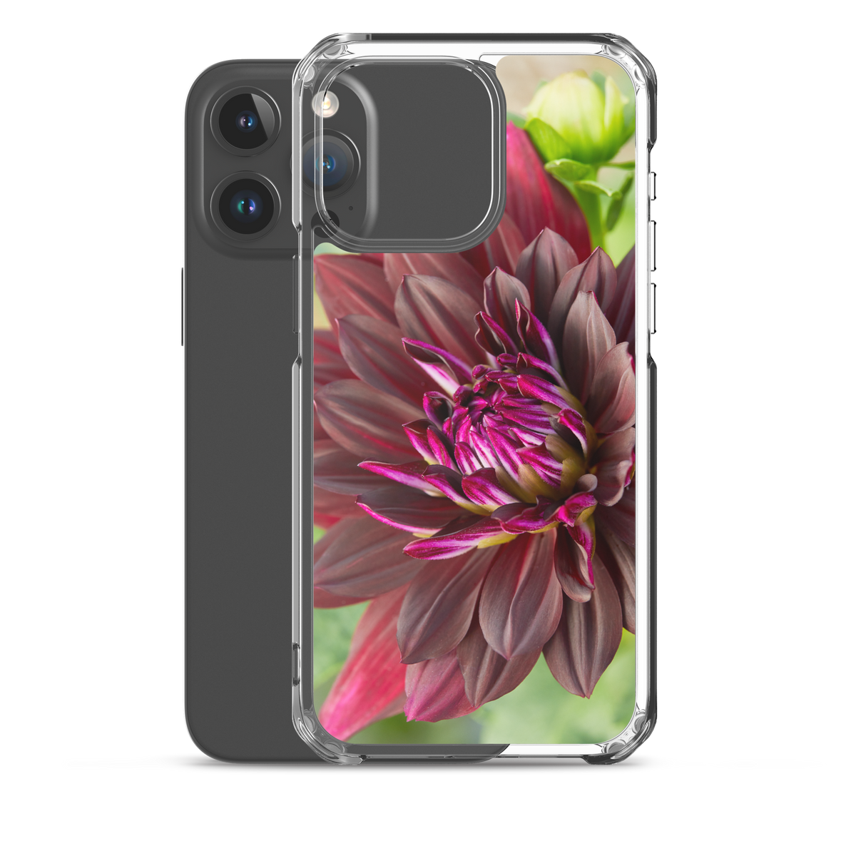 Black Dahlia iPhone Case