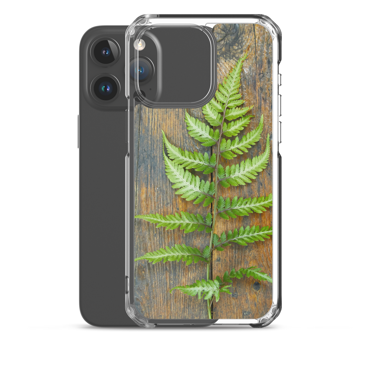 Fern iPhone Case
