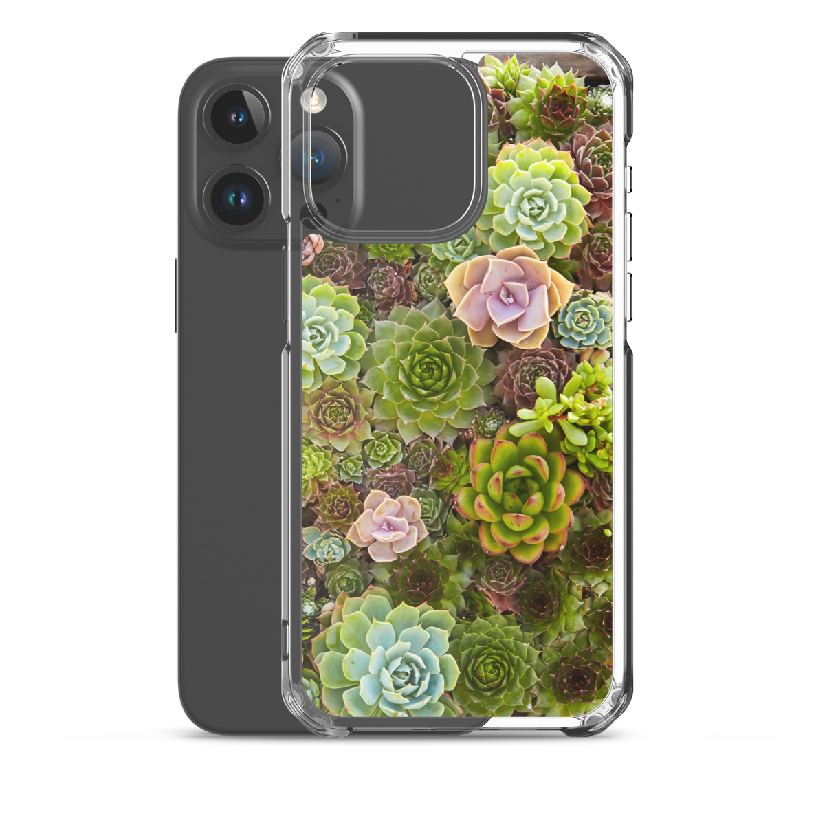 Succulent iPhone Case