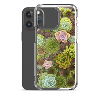 Succulent iPhone Case