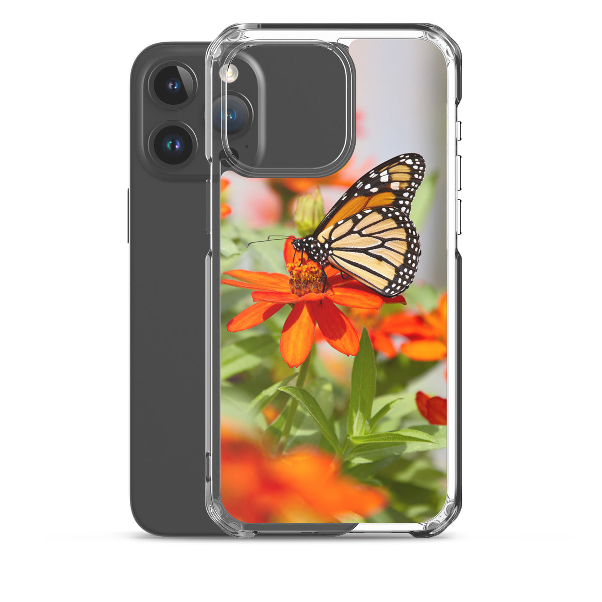 Monarch on Zinnia iPhone Case