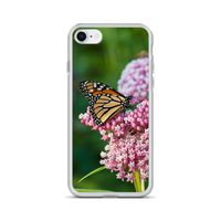 Monarch on Milkweed Phone Case for iPhone