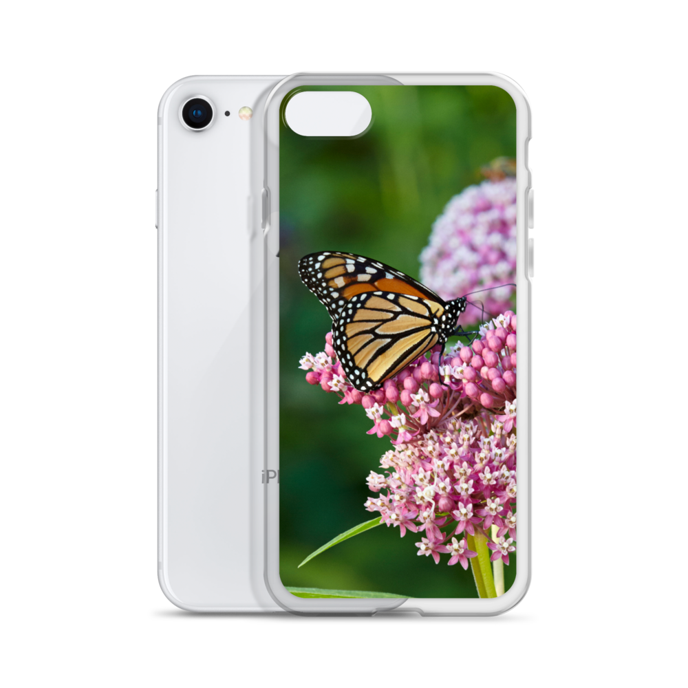 Monarch on Milkweed Phone Case for iPhone