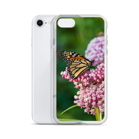 Monarch on Milkweed Phone Case for iPhone