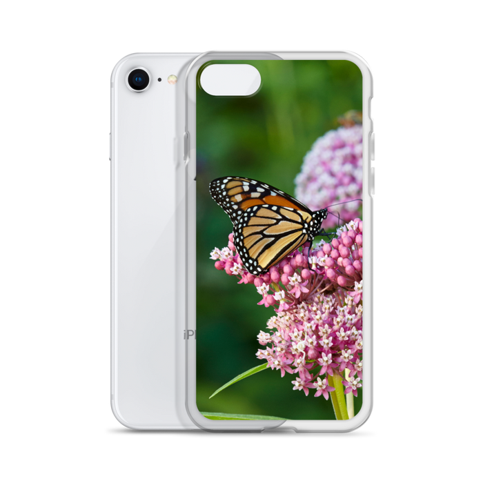 Monarch on Milkweed Phone Case for iPhone