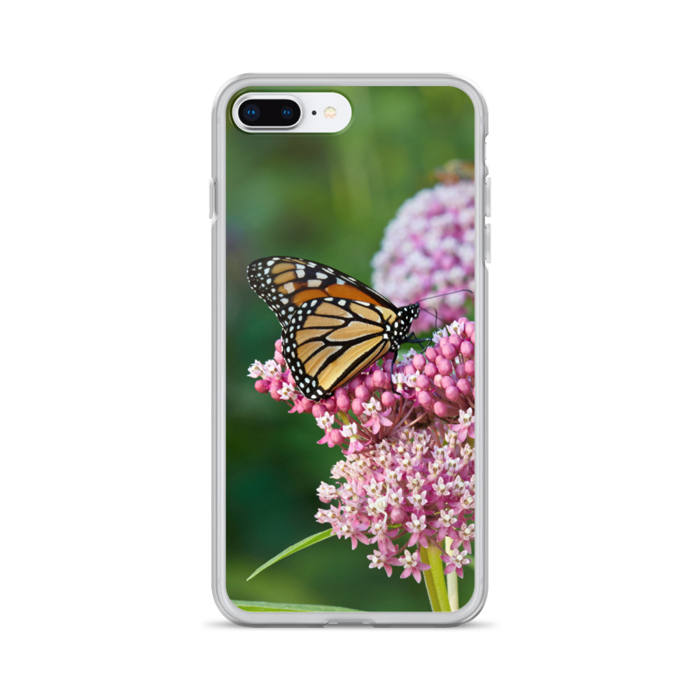 Monarch on Milkweed Phone Case for iPhone