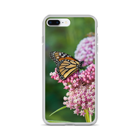 Monarch on Milkweed Phone Case for iPhone