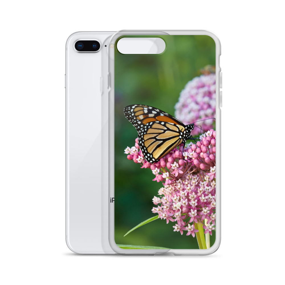 Monarch on Milkweed Phone Case for iPhone