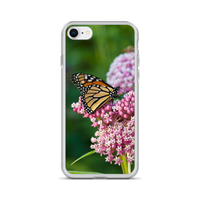 Monarch on Milkweed Phone Case for iPhone