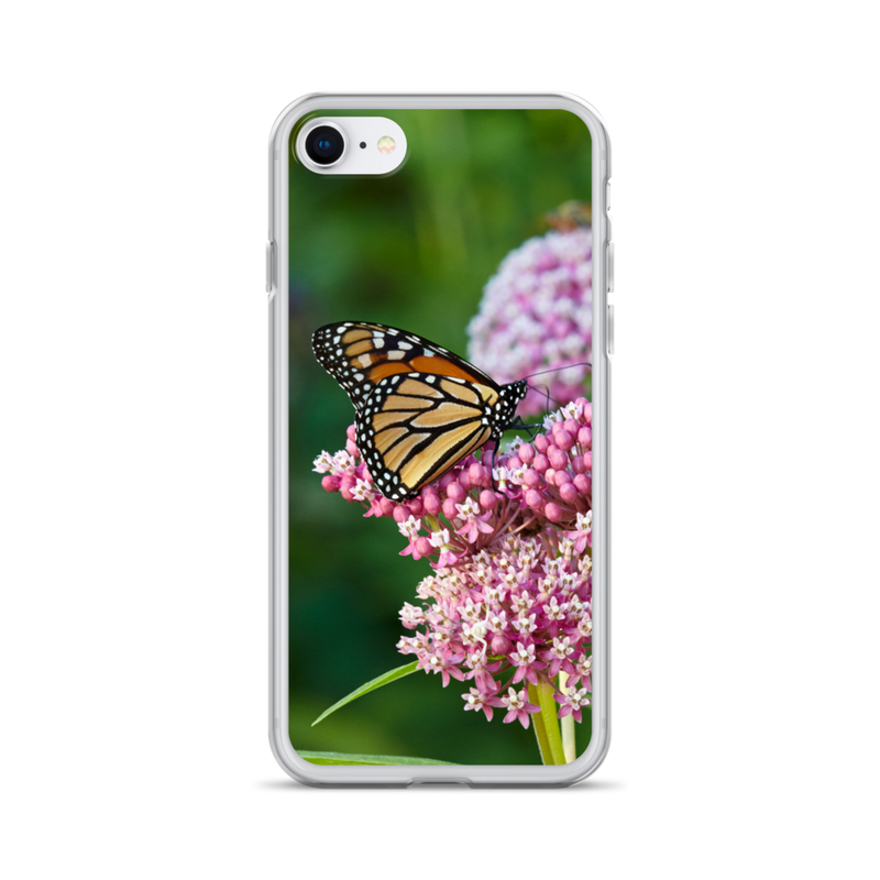 Monarch on Milkweed Phone Case for iPhone