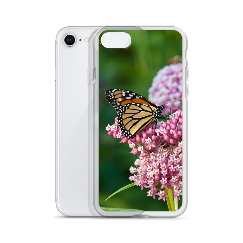 Monarch on Milkweed Phone Case for iPhone